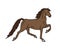 Vector hand drawn American Saddlebred horse