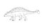 Vector hand drawn ankylosaurus dinosaur