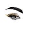 Vector Hand drawn beautiful female eye with long black eyelashes, golden eyeshadow and brows.
