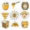 Vector hand drawn beekeeping, honey and bee icons