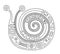 Vector hand drawn black and white illustration of isolated snail with decorative geometrical elements, lines, dots. Picture for co