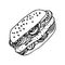 Vector hand drawn burgers and snacks objects, drawn fast food elements, sandwiches, street food