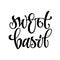 Vector hand drawn calligraphy style lettering word - sweet basil.