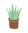 Vector hand drawn doodle colored potted aloe