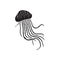 Vector hand drawn doodle sketch black jelly fish