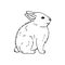 Vector hand drawn doodle sketch bunny rabbit