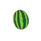 Vector hand drawn doodle sketch colored watermelon