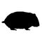 Vector hand drawn doodle sketch hamster silhouette