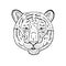 Vector hand drawn doodle sketch tiger head
