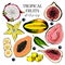 Vector hand drawn exotic fruits. Engraved smoothie bowl ingredients. Colored icon set. Tropical sweet food. Carambola