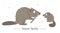 Vector hand drawn flat baby beaver with parent.