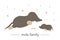 Vector hand drawn flat baby mole with parent