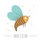 Vector hand drawn flat flying bee. Funny woodland insect icon. Cute forest animalistic illustration for childrenâ€™s design, print