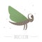 Vector hand drawn flat flying green insect. Funny woodland fly icon. Cute forest animalistic illustration for childrenâ€™s design