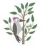 Vector hand drawn flat woodpecker sitting on the tree and pecking it. Funny scene with woodland bird. Cute forest ornithological