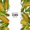 Vector hand drawn frame with organic corn cobs