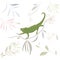 Vector hand drawn illustration Chameleon Lizard, tropical flowers, clip art. Green reptile on floral branch isolated on white back