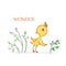 Vector hand-drawn illustration of a cute wondering yellow duckling with green plants on a white background.