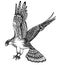 Vector hand drawn illustration of decorative eagle
