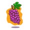 Vector hand drawn illustration of a floating bunch of purple grapes on orange background.