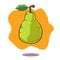 Vector hand drawn illustration of a floating green pear fruit on orange background