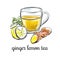 Vector hand drawn illustration Ginger lemon tea