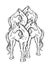 Vector hand drawn illustration of horses isolated.