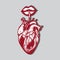 Vector hand drawn illustration of human heart