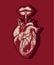 Vector hand drawn illustration of human heart