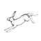 Vector hand drawn illustration of jumping hare in engraving style. Sketch of running forest animal isolated on white
