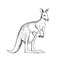 Vector hand-drawn illustration of a kangaroo with a baby in a pouch in the style of engraving. A sketch of a wild Australian