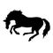 Vector hand drawn kicking horse silhouette