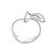 Vector hand drawn lineart apple icon