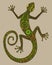 Vector hand drawn lizard or salamander with ethnic tribal patter