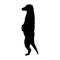 Vector hand drawn meerkat silhouette