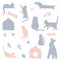 Vector hand drawn objects. Vector minimal illustrations for a pet related topic.