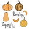 Vector hand drawn orange pumpkins set and squash lettering text