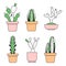 Vector hand drawn outline cactus with color elements