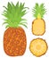 Vector hand drawn pineapple, half and sliced piece. Tropical summer fruit. Colorful illustration great for label, poster