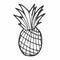 Vector hand drawn Pineapple outline doodle icon. Pineapple sketch illustration for print, web, mobile and infographics isolated on