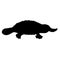 Vector hand drawn Platypus duckbill silhouette