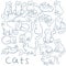 Vector hand drawn set of cats in different poses. These fluffy, cute kitties are jumping, sitting, climbing, sleeping