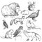Vector hand-drawn set of illustrations of animals living in the north, in the style of engraving. Inhabitants of the European
