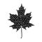 Vector hand-drawn silhouette of a maple leaf
