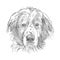 Vector hand drawn sketch of cute Landseer head in black isolated on white background.