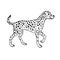 Vector hand drawn sketch Dalmatian dog