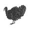 Vector hand drawn sketch doodle black turkey