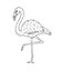 Vector hand drawn sketch doodle flamingo