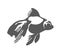 Vector Hand drawn sketch of fish illustration on white background