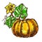 Vector hand drawn sketch pumpkin leaves, flowers.